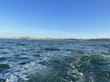 Serene Cityscape on the Waves
