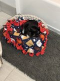 Cozy Cat Nap