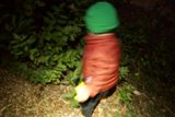 Little Explorer's First Journey