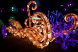 Illuminated Nightlife at Glowfari, Oakland Zoo, 2023