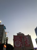 Delicious Pizza in the Heart of Metropolis