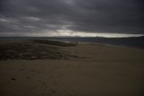 Solitude on the Shoreline