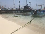 Algae Covered Boat at the Waterfront