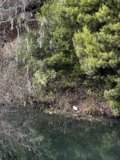 Serene Nature in the Heart of California