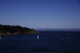 Serene Sailboat Symphony