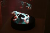 Illuminated Frog Sculpture