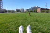 Walking on a Grassy Field