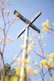 Crossroads in Bloom