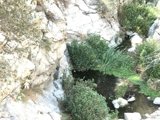 Serenity in the Wilderness