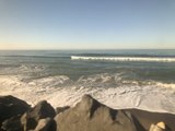 Serenity by the Shore