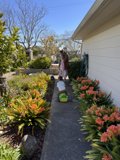 Nature's Stroll in Sebastopol