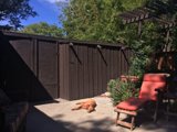 Patio Pups