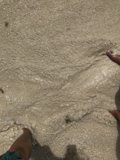 Sandy Toes