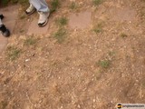 Two People Enjoying a Stroll Outdoors