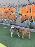 Artistic Playtime