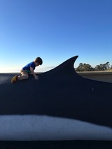 Child Riding Giant Whale Sculpture at Dusk