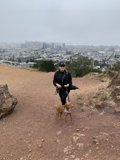 Hillside Adventure