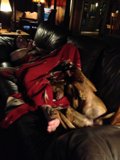Cozy Night In with Furry Companion