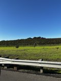A Rustic Farm Fence Under the Clear Blue Sky