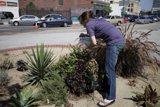 Greening up the Parking Lot