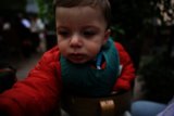 Baby's Day Out in a Red Jacket