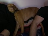 Nap Time Buddies