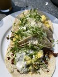Fresh and Flavorful Tacos with Arugula Sprouts