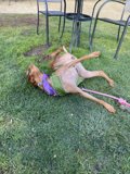 Lazy Days in the Sun