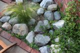 A Serene Oasis of Foliage and Rocks