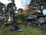 Cozy Hut Under the Tree
