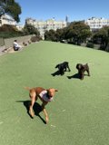 Playtime at the Park