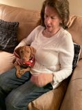 Comforting Companion
