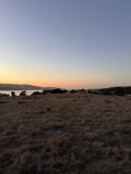 A Stellar Sunset in Marshall, California
