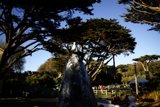 Majestic Serenity, Delores Park - 2023
