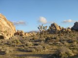 Desert Oasis