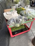 Fresh Harvest in San Francisco