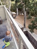 Curious Moments on the Balcony