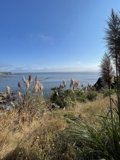 Overlooking the Untamed Beauty of California's Coastline