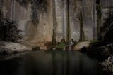 Oasis in the Canyon
