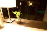 Flower Arrangement in a Vase on a Table