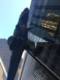Dinosaur Among the Cityscape