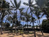 Tropical Paradise