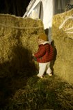 Countryside Charm: A Doll's Halloween Adventure
