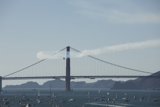Soaring High Over Golden Gate