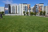 Playing Frisbee in the San Francisco Sunshine