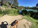 An Adventure with my Furry Companion