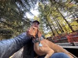 Train Ride with Man's Best Friend