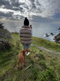 Dog-Owner Moments