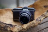 A Camera's Rest