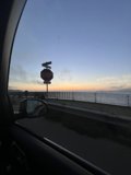 Pausing for Perspective on Presidio Road